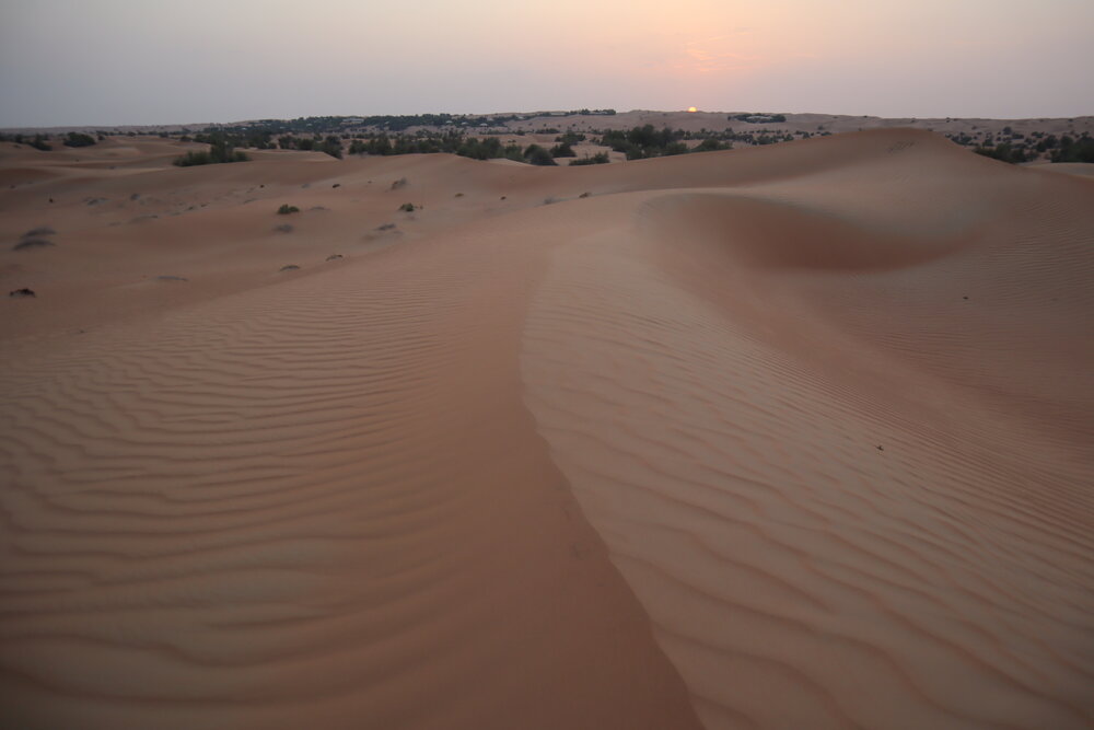 Al Maha Desert Resort Dubai – Sunset view on the sand dunes