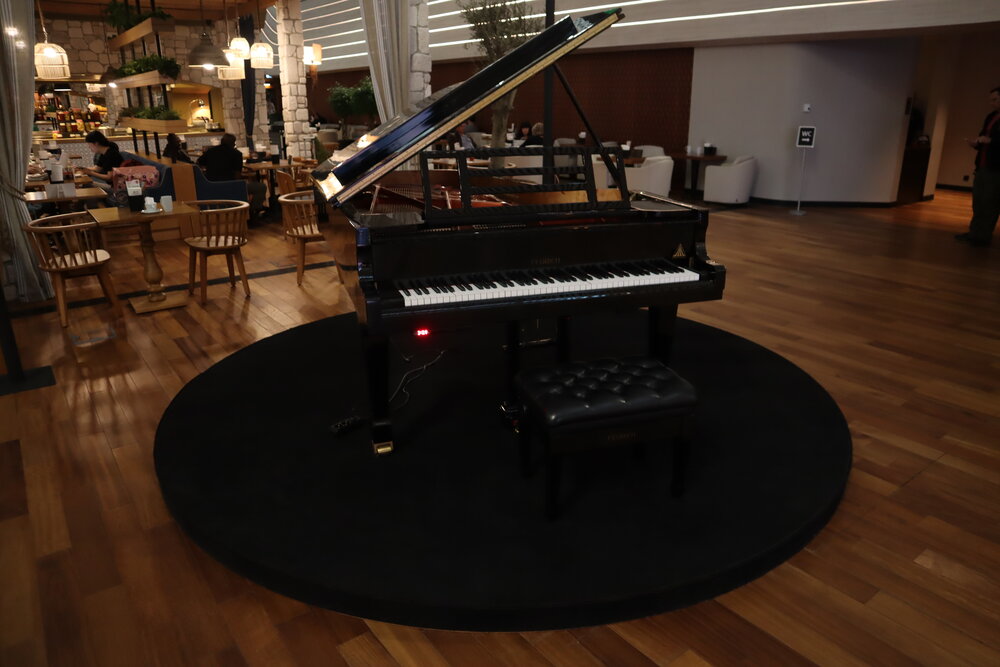 Turkish Airlines Business Lounge Istanbul – Grand piano