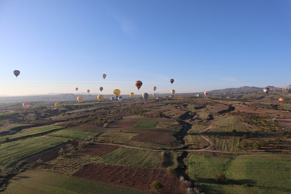 Hot air balloons at sunrise