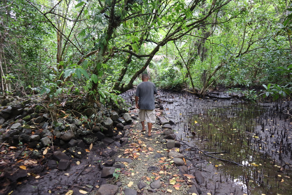 Hiking down to Nan Madol