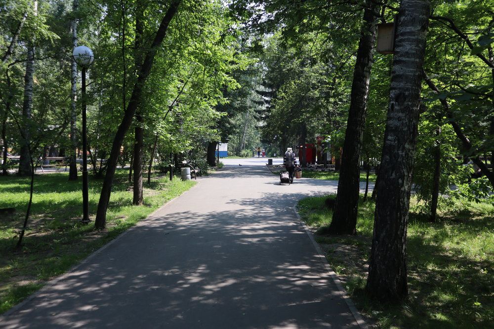 Central Park, Novosibirsk