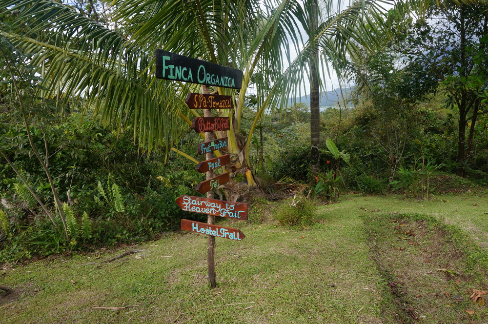 Organic farm