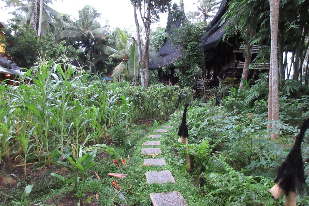 Bambu Indah Ubud – Paths