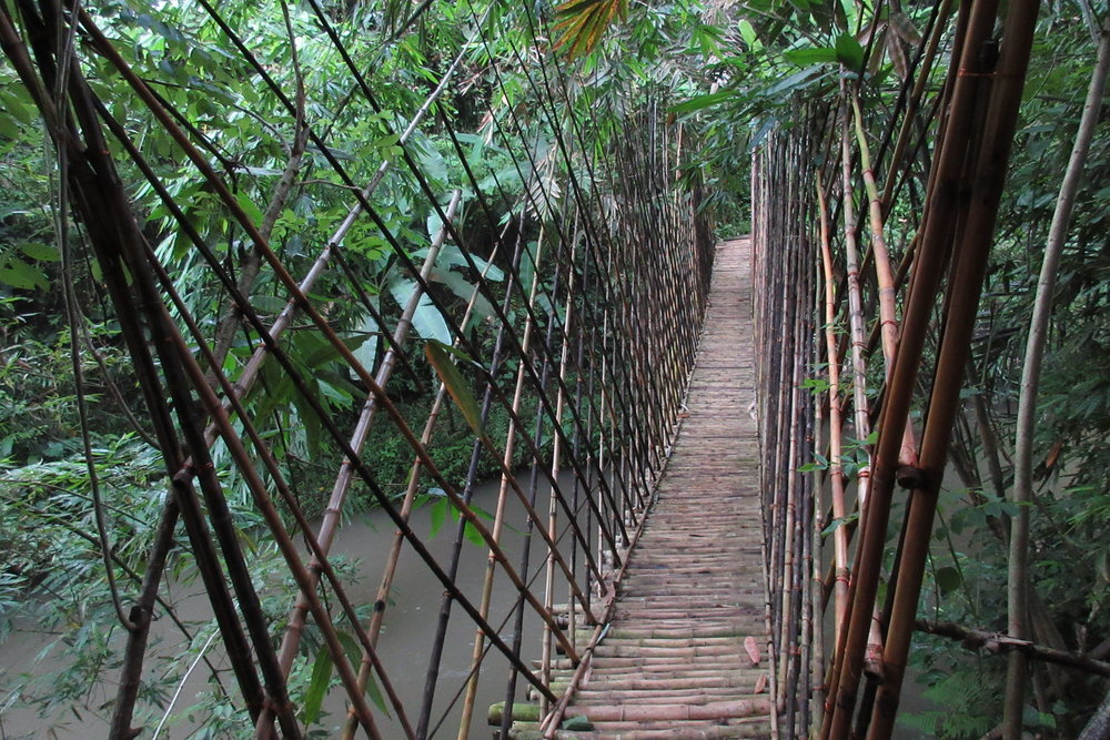 Bambu Indah Ubud – Bamboo suspension bridge