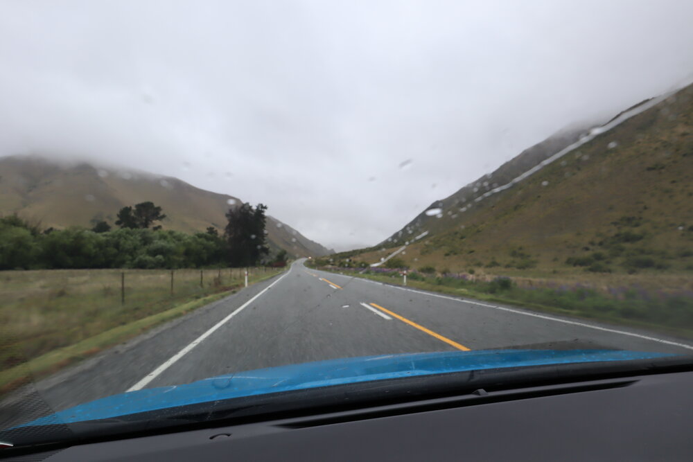 Driving in New Zealand