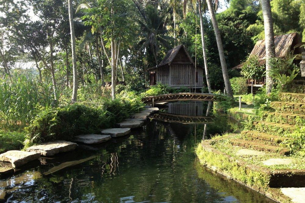 Bambu Indah Ubud – Natural pool