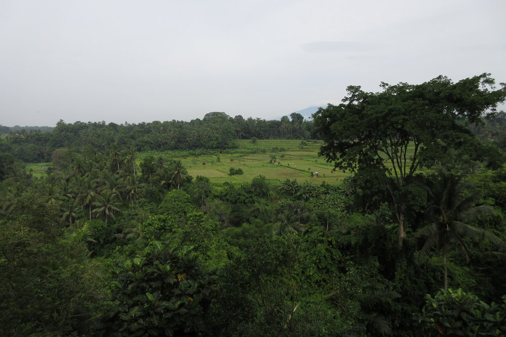 Bambu Indah Ubud – Views from the cliffside