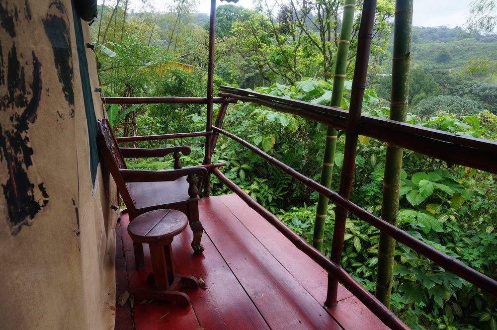 Terrace overlooking the jungle