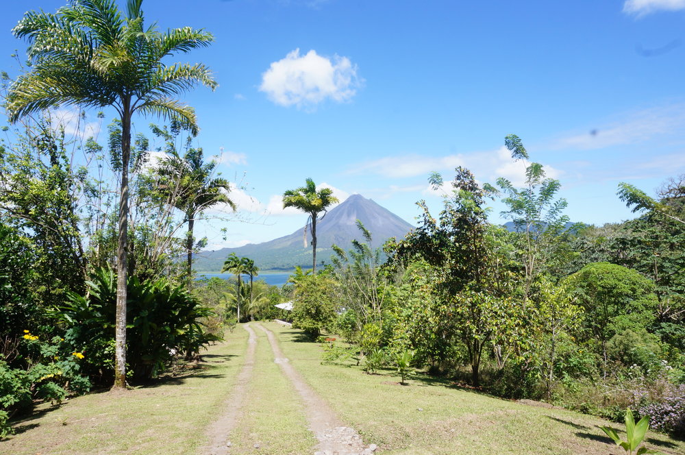 View of Arenal Volcano from the farm