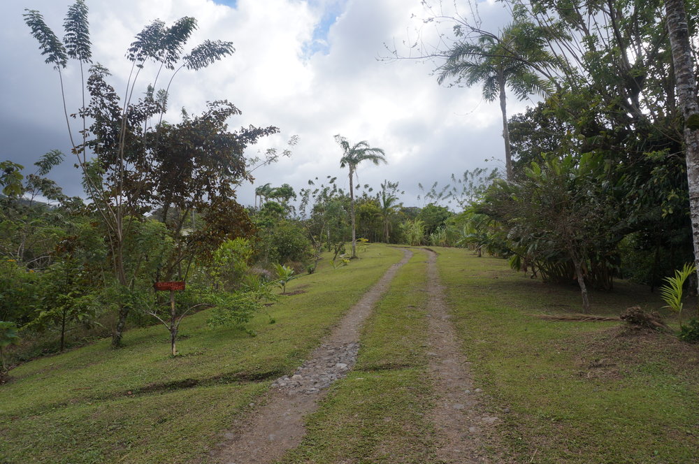 Organic farm