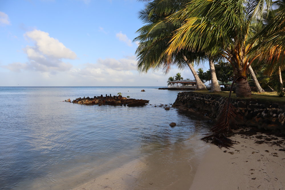 Beach at the Blue Lagoon Dive Resort