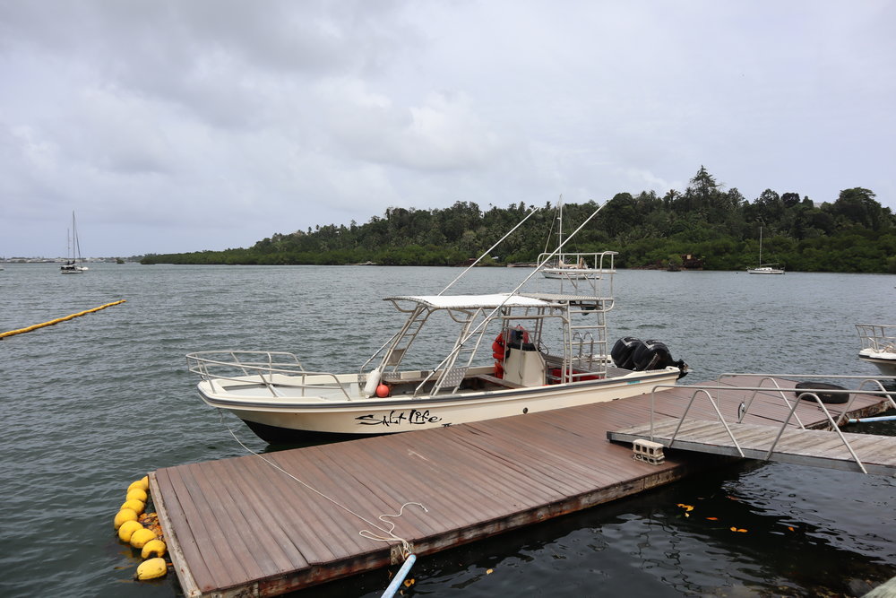 Mangrove Bay, Kolonia, Pohnpei