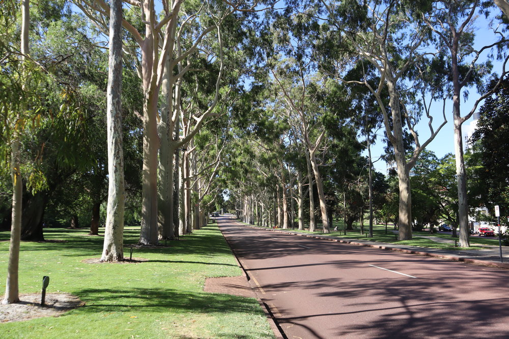 Kings Park