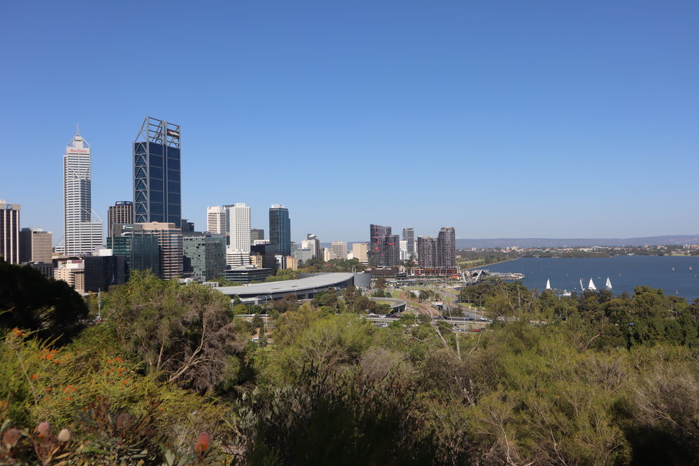 Views of Perth from Kings Park