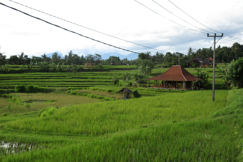 Campuhan Ridge