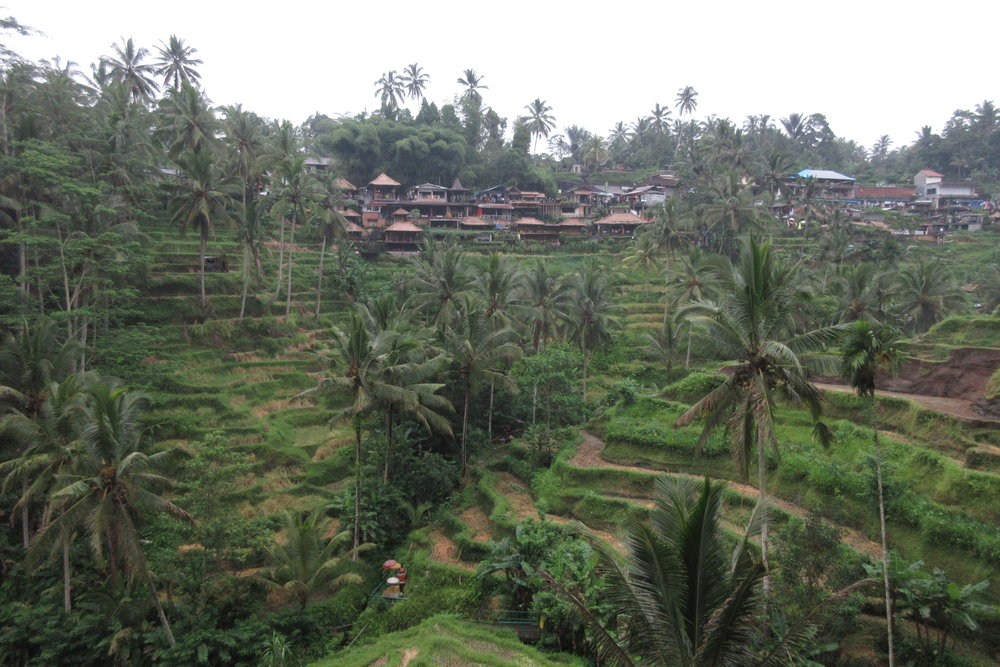 Tegalalang Rice Terraces