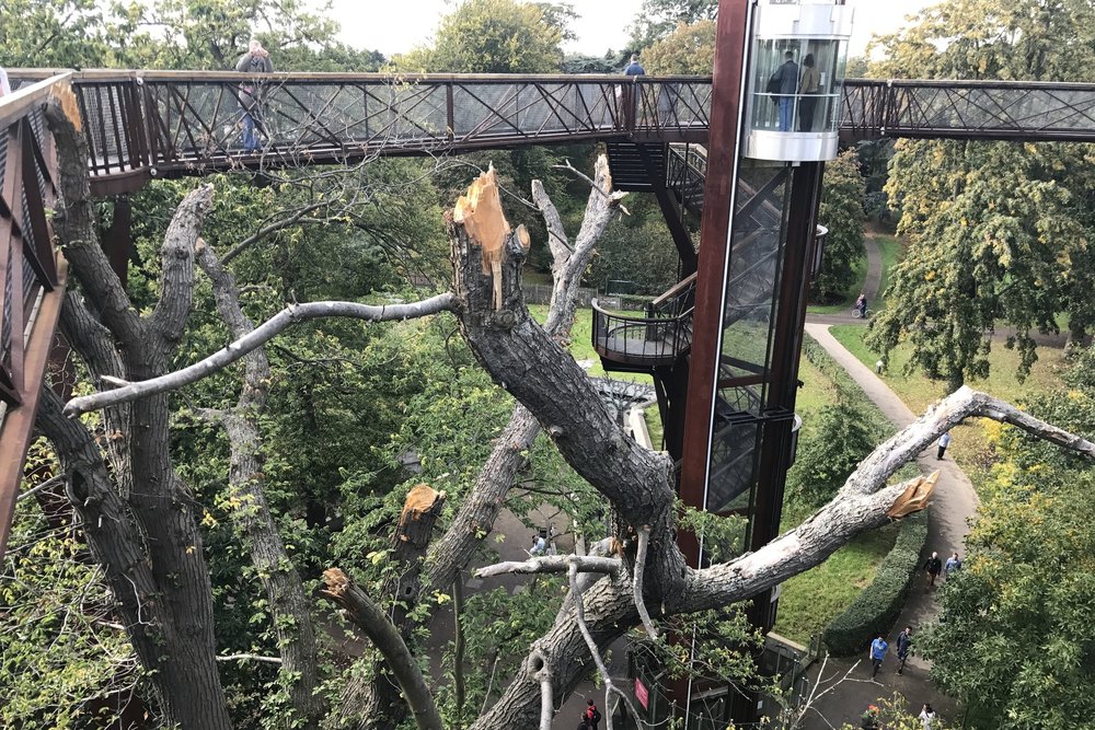 Kew Gardens – Treetop Walkway