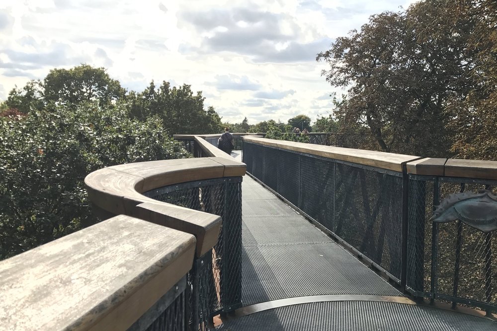 Kew Gardens – Treetop Walkway