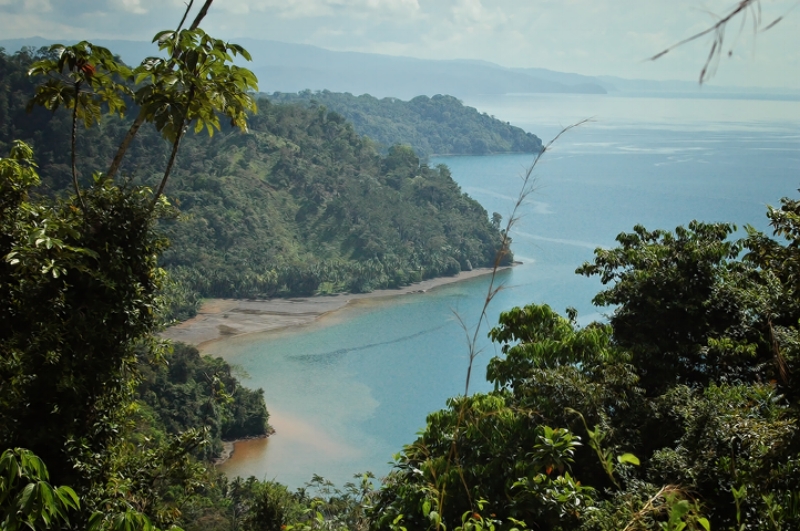 Corcovado National Park Costa Rica | Prince of Travel | Travel Talk