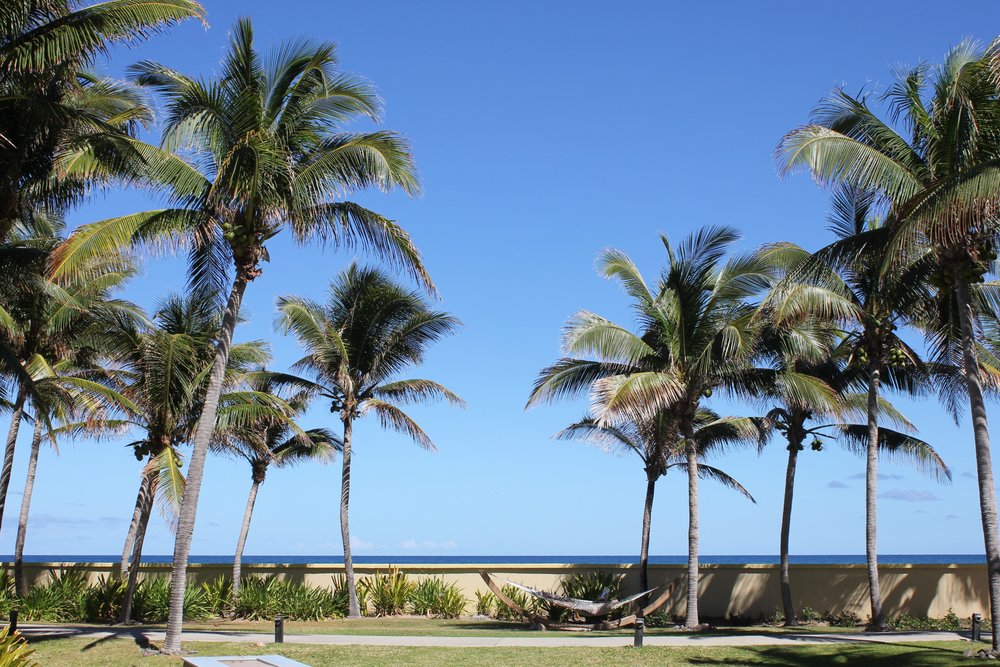 St. Kitts Marriott Resort – Hammock and horizon