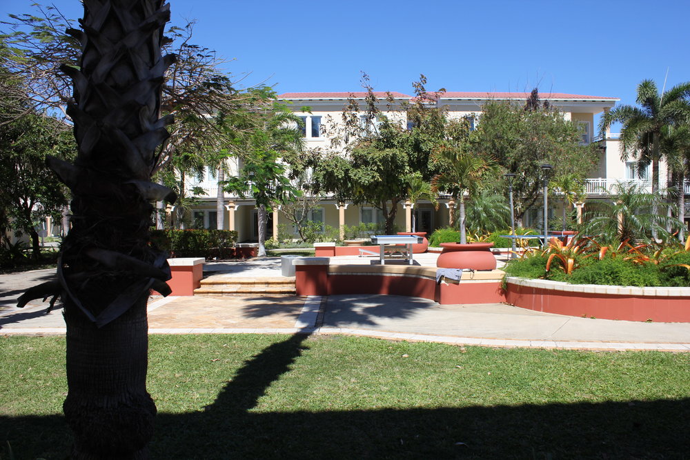 St. Kitts Marriott Resort – View of courtyard from patio