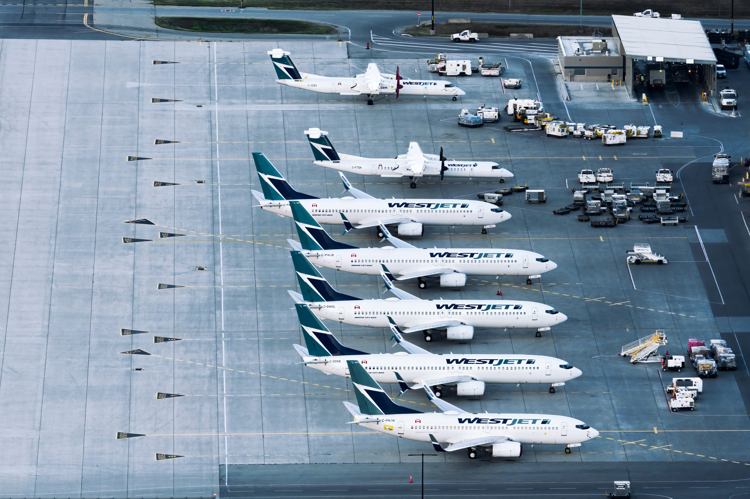 WestJet airplanes in a row at the airport