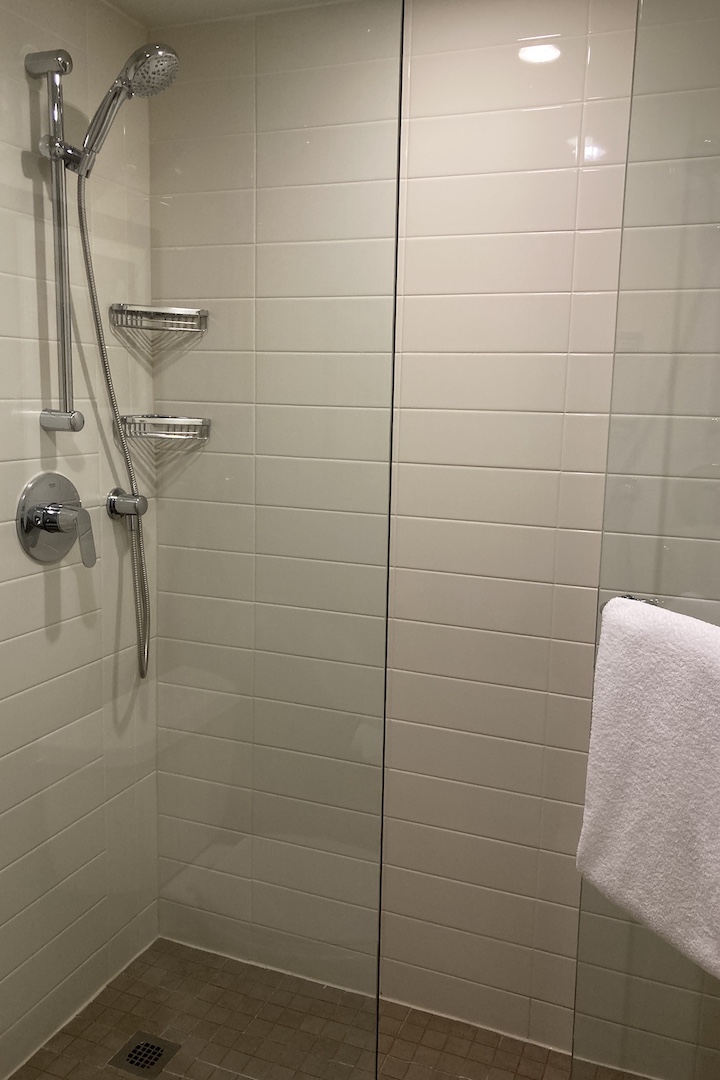 Delta Ottawa – Junior Suite bathroom shower