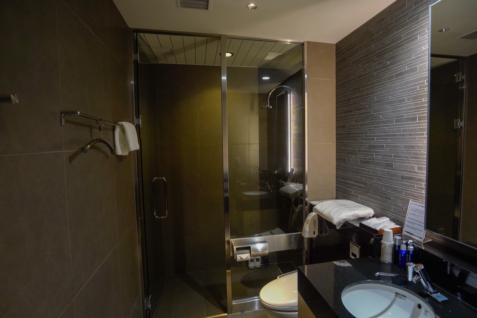 ANA Suite Lounge Tokyo Haneda – Shower room