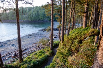 Vancouver Island beach
