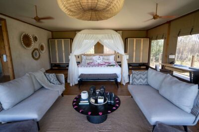 multiply bonvoy points offer