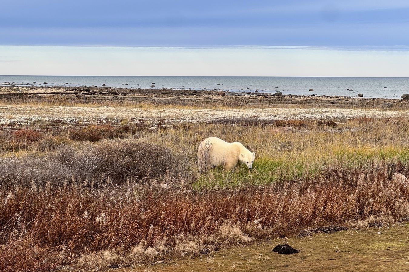 77e01266 b9b0 412e 953b 6846f2a50d92 77e01266 b9b0 412e 953b 6846f2a50d92