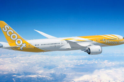Scoot 787 2
