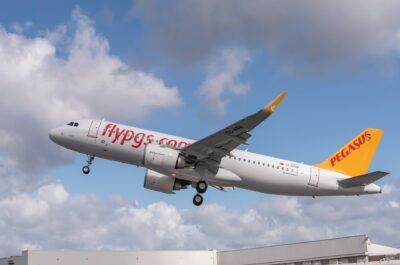 Pegasus Airlines Fleet A320NEO
