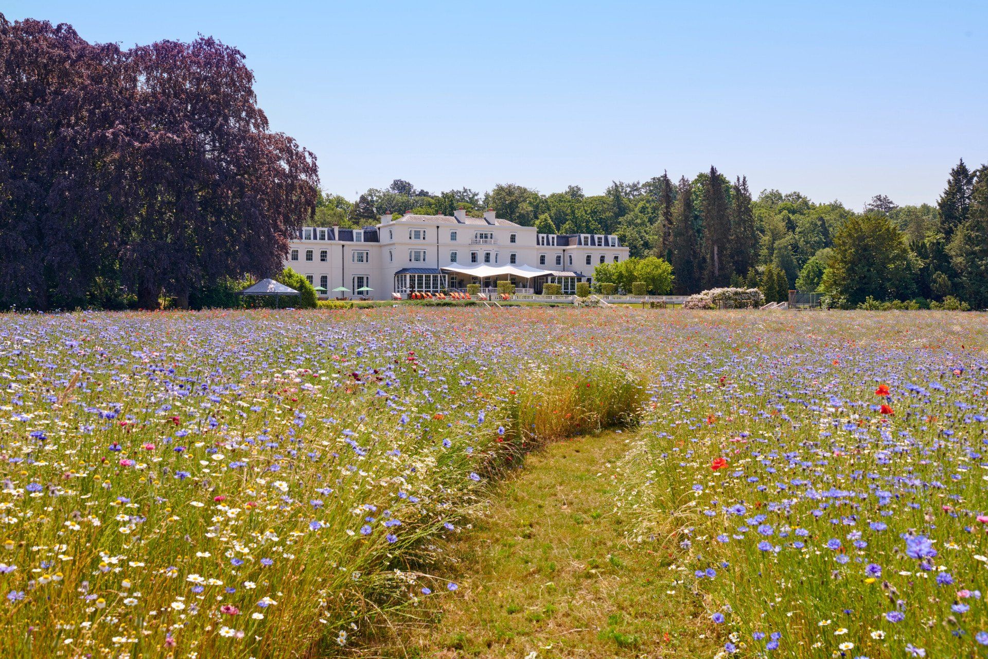 Coworth Park mansion house with summer meadow, Ascot