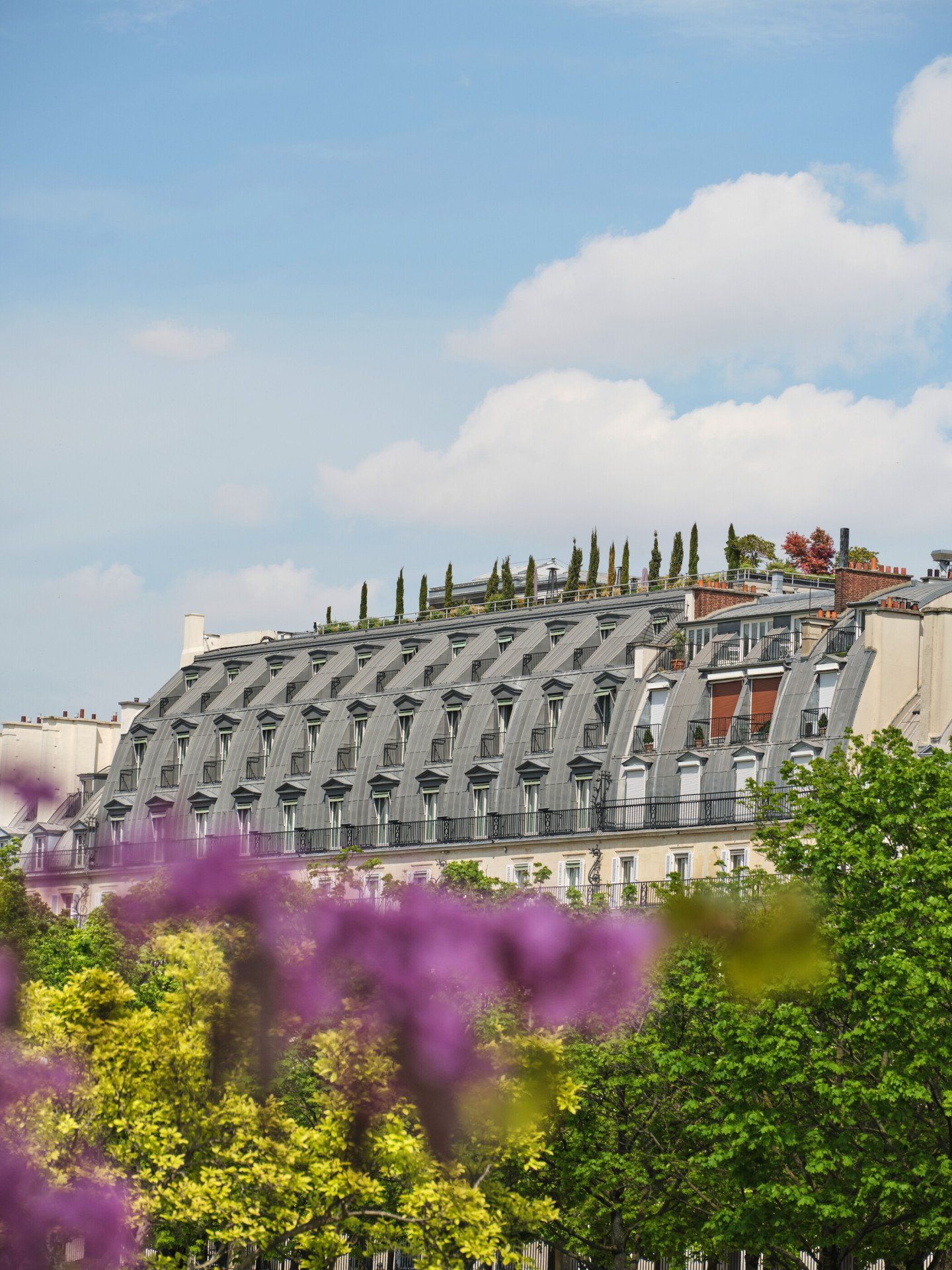 Le Meurice hotel exterior rooftop view, Paris